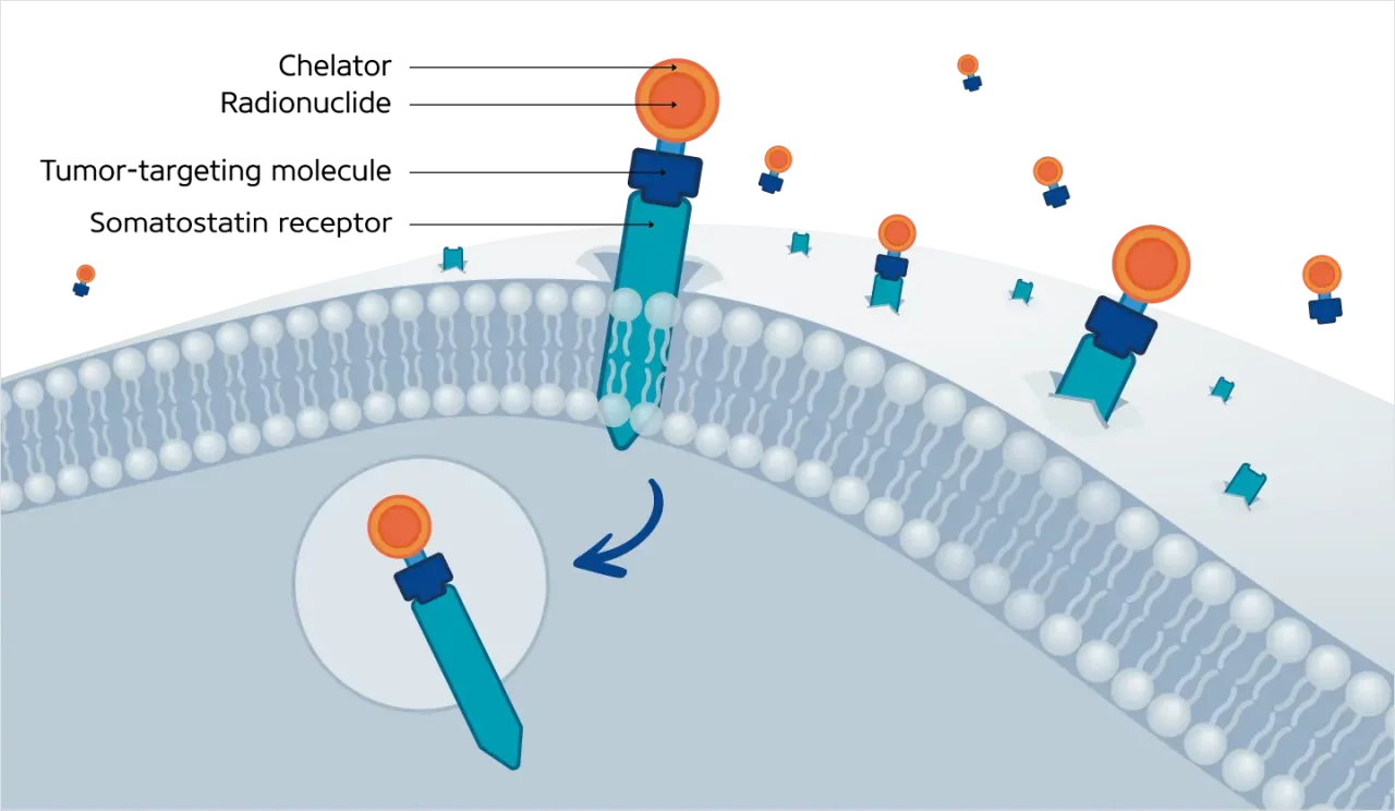 Overview of the mechanism of action in PRRT for cancer treatment.