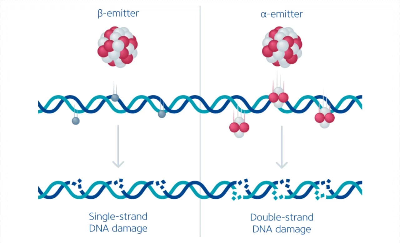 Exploration of theranostics with beta-emitting radiopharmaceuticals.